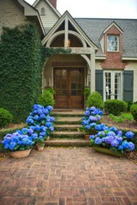 Best Hydrangeas for Historic Gardens