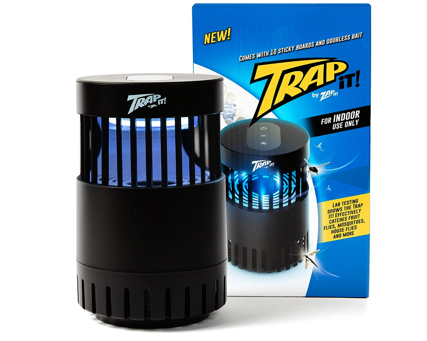 Best Gnat Traps (Review) in 2023 - Old House Journal