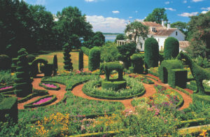 Strange & Wonderful Topiary Gardens