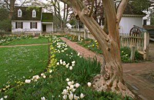 Gardens of Colonial Virginia