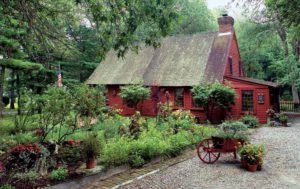 Tips for Creating a Kitchen Garden