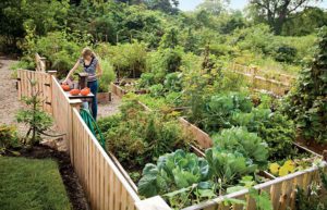 The Benefits of Raised-Bed Gardening