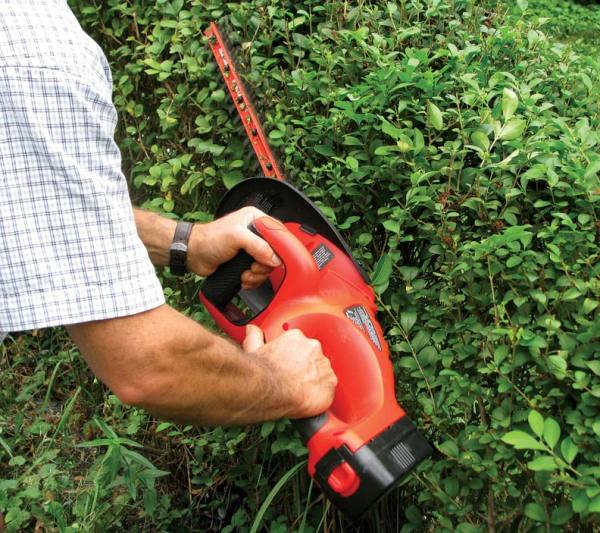6 Must-Have Pruning Tools