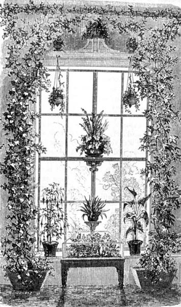 How To Decorate a Victorian House with Plants